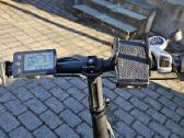 Dviratis Pace F1max - nuotraukos Nr. 6