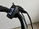 Vokiškas Elektrinis dviratis Prophete E-bike 28 - nuotraukos Nr. 13