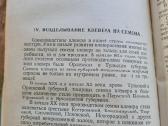 Raudonųjų dobilų auginimas (rusų k.) - nuotraukos Nr. 6