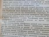 Raudonųjų dobilų auginimas (rusų k.) - nuotraukos Nr. 7