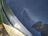 Seat Altea XL 2012 m. - nuotraukos Nr. 17