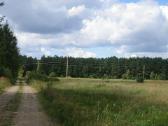 Žemės ūkio paskirties sklypas - nuotraukos Nr. 3