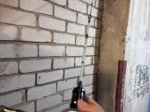 Dankung stiklopluosto bfs kotas ir rite - nuotraukos Nr. 5
