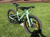 Specialized Riprock 20 - nuotraukos Nr. 2
