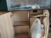 120l akvariumas ir spintelė - nuotraukos Nr. 3