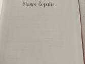 Profesorius Stasys Čepulis - nuotraukos Nr. 2