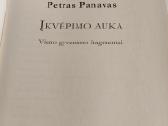 Įkvėpimo auka - nuotraukos Nr. 2