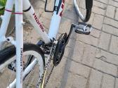 Nishiki Comp Plus - nuotraukos Nr. 4
