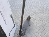 Mi electric Scooter Pro2 - nuotraukos Nr. 3