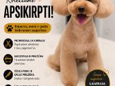 Šunų ir kačių kirpykla "Mon Pet" Vilniuje