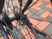 Riverside 700 Tr XL trekking / miesto dviratis - nuotraukos Nr. 6