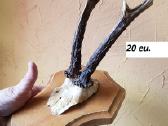 Antikvariniai Liaudiški medinukai ir baldai - nuotraukos Nr. 21