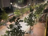 Buto nuoma m. centre / 2-room Apart. in citycentre - nuotraukos Nr. 16