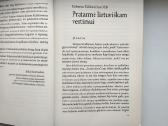 Aistros įveika askezės ir psichologijos metodais - nuotraukos Nr. 7
