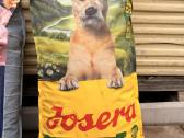Josera Balance ~15kg