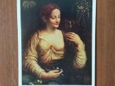 Atvirukai - Western European portrait / Hermitage - nuotraukos Nr. 8