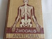 Žmogaus anatomija