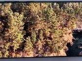 Samsung s20 ultra su gera baterija - nuotraukos Nr. 13