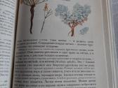 Растительный мир нашей Родины - nuotraukos Nr. 5