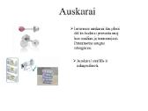 Kosmetologinės paslaugos - auskarų vėrimas - nuotraukos Nr. 2