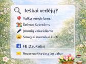 Jaunatviški renginių vedėjai - nuotraukos Nr. 2