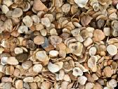 Dekoratyvinė skalda, gludinti akmenukai - nuotraukos Nr. 6