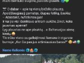 Plaustas, platforma - nuotraukos Nr. 7