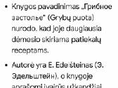 Grybai - nuotraukos Nr. 3