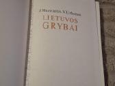 Grybai - nuotraukos Nr. 5