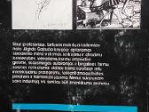 Kultūros vertybės ir erzacai - nuotraukos Nr. 5