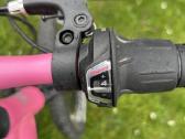 Vaikiškas dviratis Gust Frizzy 20'' Pink - nuotraukos Nr. 3