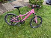 Vaikiškas dviratis Gust Frizzy 20'' Pink - nuotraukos Nr. 2