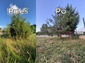 Žolės pjovimas Vilniuje ir Vilniaus rajone - nuotraukos Nr. 20