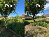 Žolės pjovimas Vilniuje ir Vilniaus rajone - nuotraukos Nr. 23