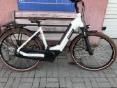 Batavus
