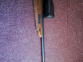 Browning eclipse - nuotraukos Nr. 3