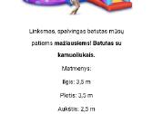Batutų nuoma Klaipėdoje ir rajone. Putų patranka - nuotraukos Nr. 7