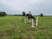 Kumele 10m - nuotraukos Nr. 2