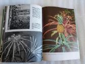 Иллюстрированная энциклопедия растений - nuotraukos Nr. 7