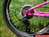 Naujas 20 Cross Alissa rožinis - nuotraukos Nr. 3