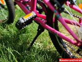 Naujas 20 Cross Alissa rožinis - nuotraukos Nr. 8