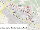 Naujas 20 Cross Alissa rožinis - nuotraukos Nr. 10
