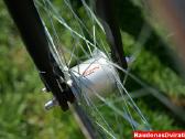 Naujas 28 Creon/cross Sl2 Wave N7 50 ir 45cm - nuotraukos Nr. 4