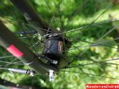 Naujas 28 Cross Area trek 44cm - nuotraukos Nr. 4