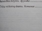 Paskyrimo vieta nežinoma. - nuotraukos Nr. 2