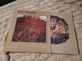 Rodonitas - nuotraukos Nr. 2