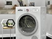 Dziovykle Bosch Wty 88700