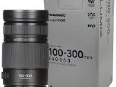 Panasonic Lumix G Vario 100-300mm / F4.0-5.6 - nuotraukos Nr. 3