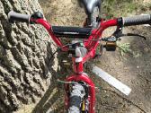 Specialized Riprock Coaster 16 - nuotraukos Nr. 3
