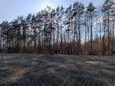 Ieškau sodybos